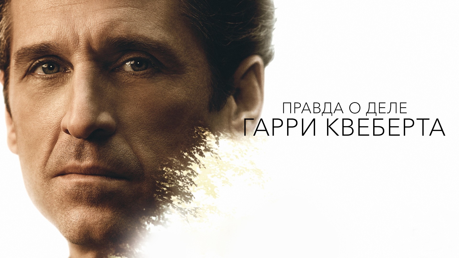 Правда о деле Гарри Квеберта сериал (2018) - смотреть онлайн | архив ...